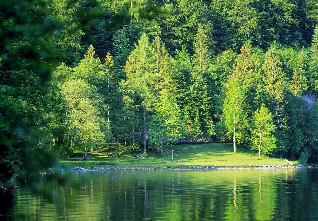 Park Am See Obertraun Exteriér fotografie