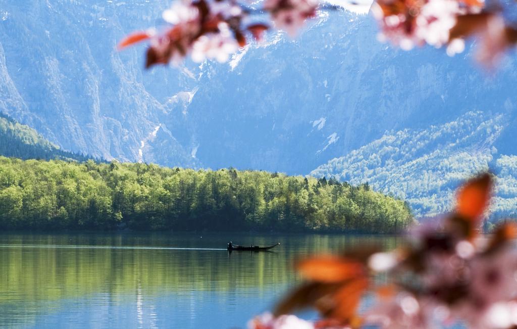 Park Am See Obertraun Exteriér fotografie